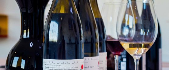 Picarana 2009, un vino que hay que descubrir – Qué lujo